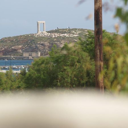 Appartamento Vasiliki'S House Naxos City Esterno foto