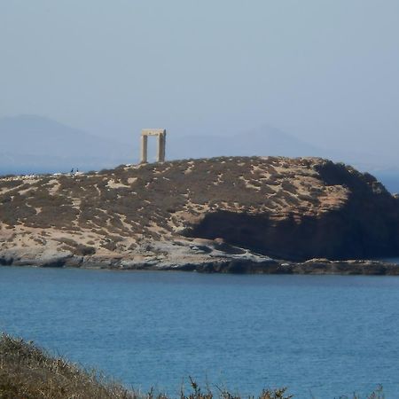 Appartamento Vasiliki'S House Naxos City Esterno foto