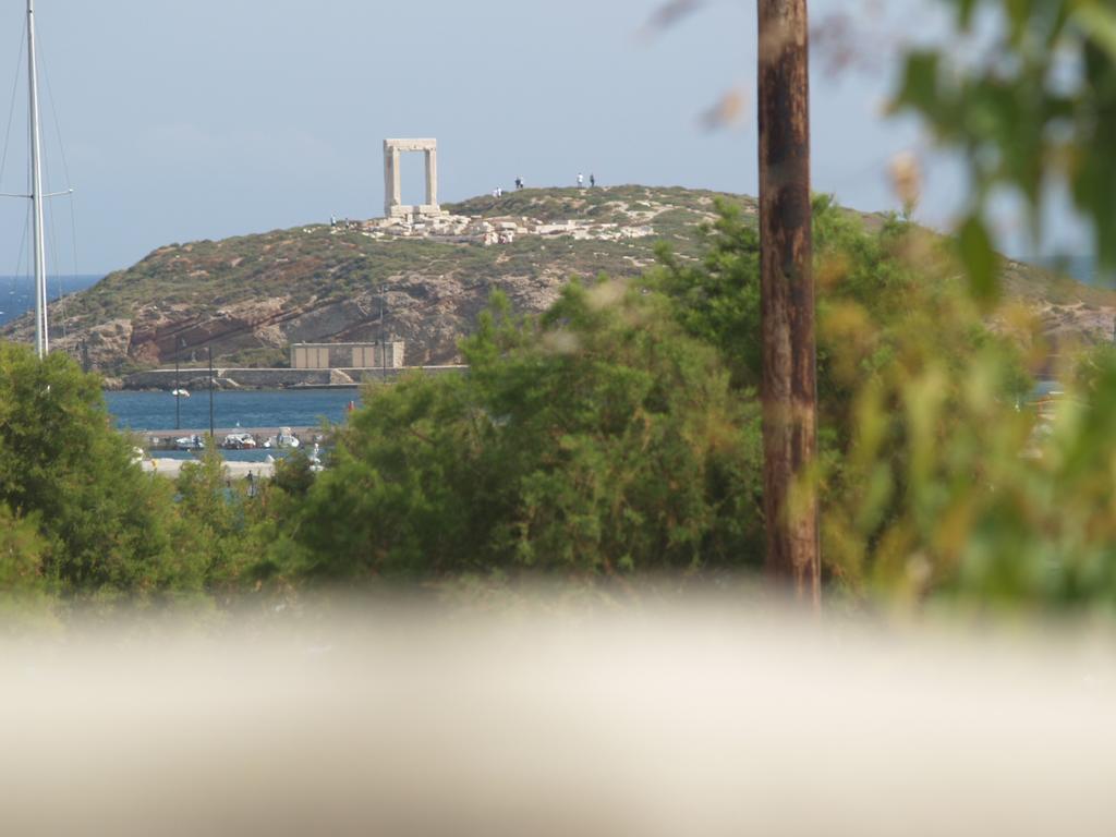 Appartamento Vasiliki'S House Naxos City Esterno foto